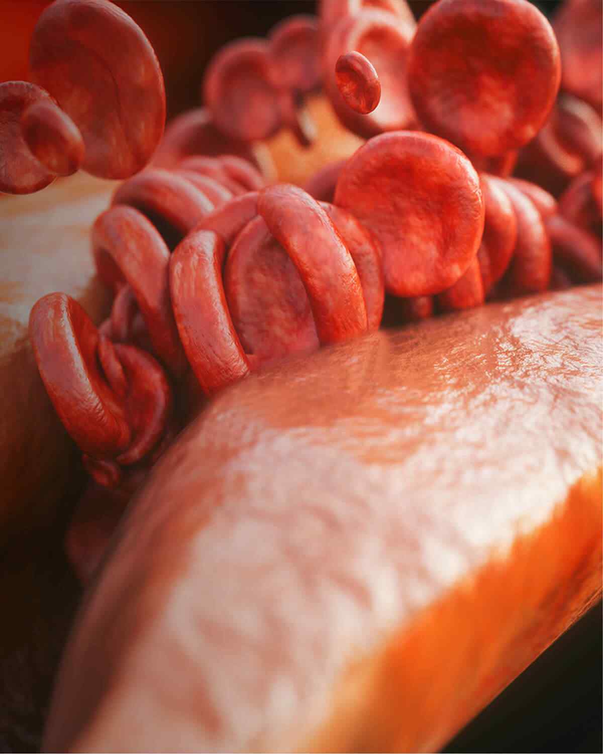 https://akyolmedical.com.tr/wp-content/uploads/2021/08/interactive_image_right.jpg